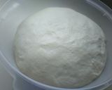 Foto del paso 3 de la receta: Pan con kéfir (pan batón)