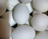 A picture of step 1 of Egg masala curry.