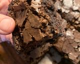 Foto langkah ke 10 dari resep Fudge Chocolate Brownies.