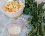 Foto del paso 1 de la receta: Agua de hierbabuena y piña