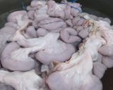 Foto langkah ke 3 dari resep Gulai Perut Sapi Khas Manna Bengkulu Selatan.