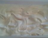 Foto langkah ke 5 dari resep Ice cream Vanila🍦Choky2 😋.