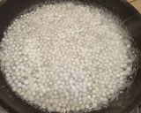 A picture of step 1 of Sabudana Kheer with Pomegranate, Apple and Nuts.