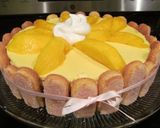 Foto del paso 8 de la receta: Mousse de Mango SIN HORNO y Tres Leches...a lo Carmelita