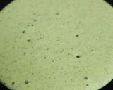 A picture of step 4 of Balloon vine dosa.