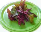 A picture of step 2 of A Healthy Adai Dosai with Quinoa with red amaranth leaves.