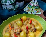 Foto langkah ke 4 dari resep Opor Ayam Kentang Bumbu Kuning Bersantan.