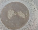 Foto del paso 1 de la receta: Grisines