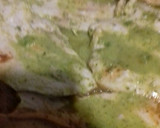 Foto del paso 2 de la receta: Filete de pavo en adobo verde
