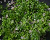 ચીઝ પનીર પાલક લીફાફા પરોઠા (Cheese Palak Paneer Lifafa Paratha Recipe In Gujarati) રેસીપી સ્ટેપ2ફોટો