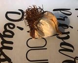 Une image de l'étape 3 de Chapon haché aux poivrons rouges et pesto.