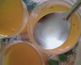 ઉકાળો (Ukalo Recipe In Gujarati) રેસીપી સ્ટેપ3ફોટો