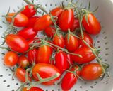 Foto langkah ke 3 dari resep Salad simple hasil panen kebun sendiri.