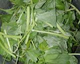 Foto langkah ke 1 dari resep 50.Sayur Bening.
