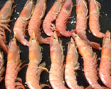 Foto del paso 1 de la receta: Langostinos al horno, súper rápidos