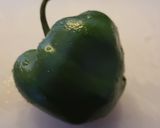 Foto del paso 1 de la receta Ternera en salsa al aroma de las especias