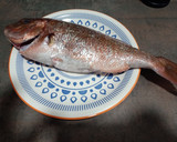 Foto del paso 1 de la receta: Pargo a la sal