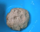 Foto del paso 3 de la receta: Galletitas de harina integral saladas