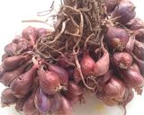 Foto langkah ke 1 dari resep Siwang (terasi bawang).