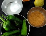 રાયતા લીલા મરચાં(Raita marcha recipe in Gujarati) રેસીપી સ્ટેપ1ફોટો