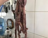 Foto del paso 2 de la receta: Pulpo al olivo