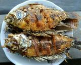 Foto langkah ke 3 dari resep Ikan Mujair Goreng.