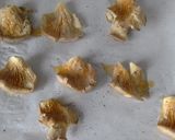 Foto del paso 4 de la receta: Pechugas de codorniz con setas al horno