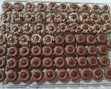 Foto langkah ke 5 dari resep Thumprint cookies choco mede.