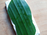 Tempe Goreng Sandal Jepit Viral