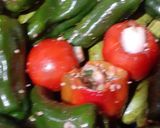 A picture of step 11 of Iraqi Dolma 🥒🫑🍆🥔🍅🧅.