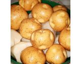 Foto del paso 2 de la receta: Mi primer ajiaco santafereño