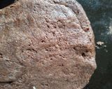 Foto del paso 2 de la receta: Galletas de chocolate
