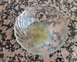 Foto del paso 3 de la receta: Bavaroise de pera