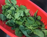 Une image de l'étape 1 de Salade de jeunes pousses d épinards aux radis cerises et tomates margold.