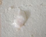 A picture of step 2 of Kabri Patti Sandwich.