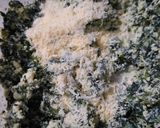 Foto del paso 2 de la receta: Lasaña de espinacas sin masa (para celíacos)