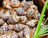 Hình bước làm 1 của món Ốc hương sốt trứng muối