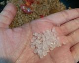 打拋肉（不辣）的食譜步驟5照片