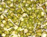 મસાલા મગ (Masala Moong Recipe In Gujarati) રેસીપી સ્ટેપ2ફોટો