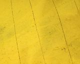 A picture of step 5 of खांडवी Khandvi.