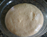 Foto del paso 3 de la receta: Pan brioche dulce con yogur