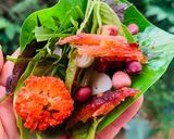 Hình bước làm 15 của món Vào bếp cùng con: thịt lợn gác bếp cuốn rau mọc ven đường Sải Duần, tươi xanh mơn mởn!
