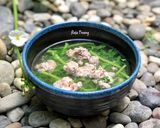 Hình bước làm 4 của món Canh Cải Cúc Nấu Tôm Thịt