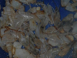 Tlaxtihuilli