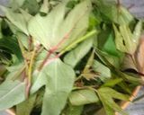 Foto langkah ke 2 dari resep Sayur Asem Talas Daun Ubi.