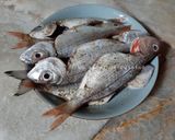 Une image de l'étape 2 de Poissons frits 🍋.