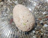 Foto del paso 8 de la receta: 🐰Huevo de Pascua salado 🐰Receta viral #3 🐰Ensalada de atún, verdeo y arroz parboil🐰