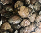 Foto del paso 1 de la receta: Almejas al ajillo