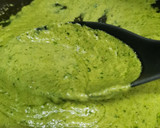 Foto del paso 5 de la receta: Pesto riquisabroso