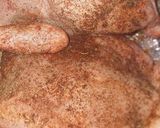 Foto del passaggio 2 della ricetta Pollo con patate in friggitrice ad aria